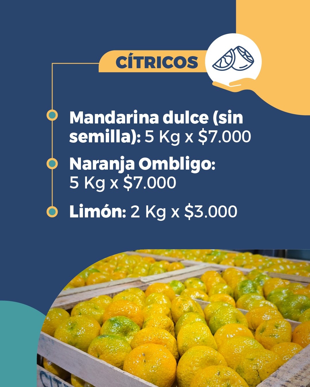 Promoción